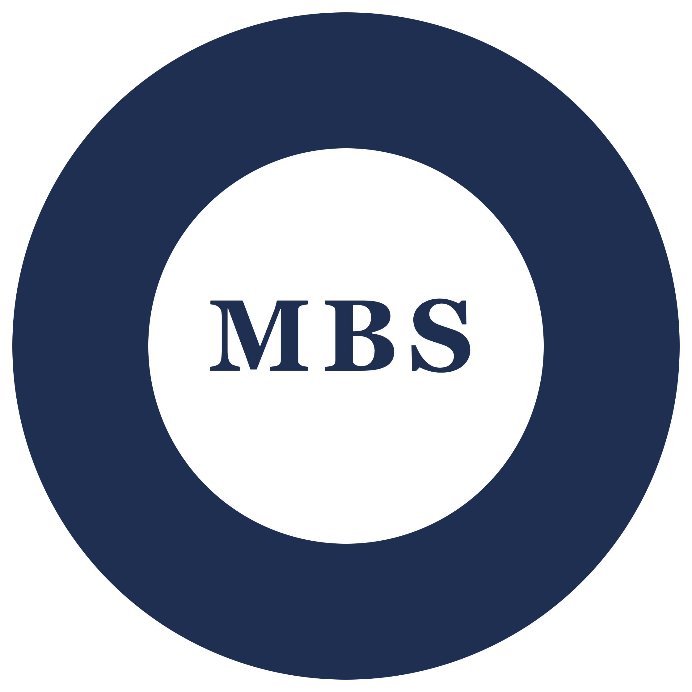 Mahoney business systems odoo consulting logo